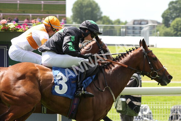 yr10062022r1-17 - Race 1 2.00pm Constant Security Gentlemen Amateur Riders Stakes