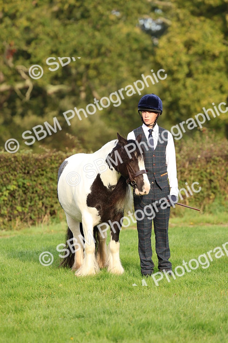 SBM_54899 - S39 - Starters In Hand Showing