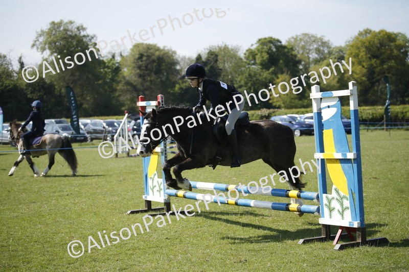 20250427-2043 - Class 13 - Novice Jumping 60cm