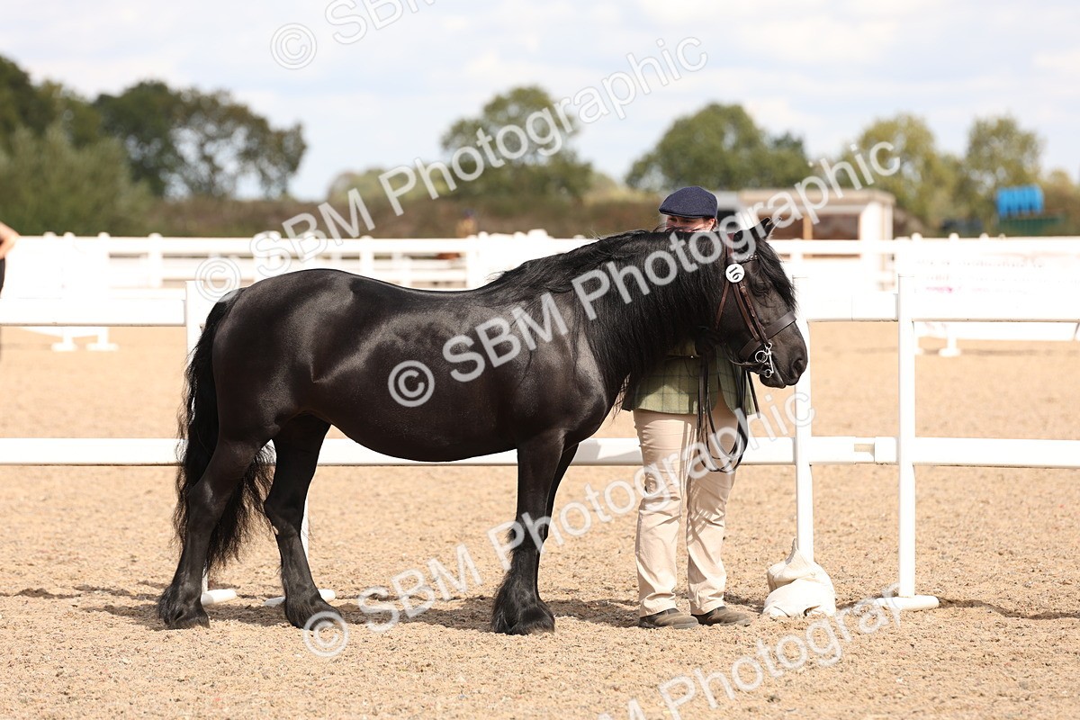 SBM_15037 - Class 209 - IH Veteran Pony