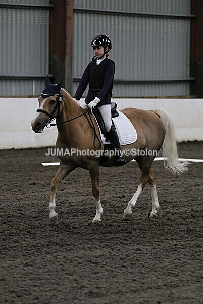 SIAL3614 - CAbin Dressage 5th july 2025