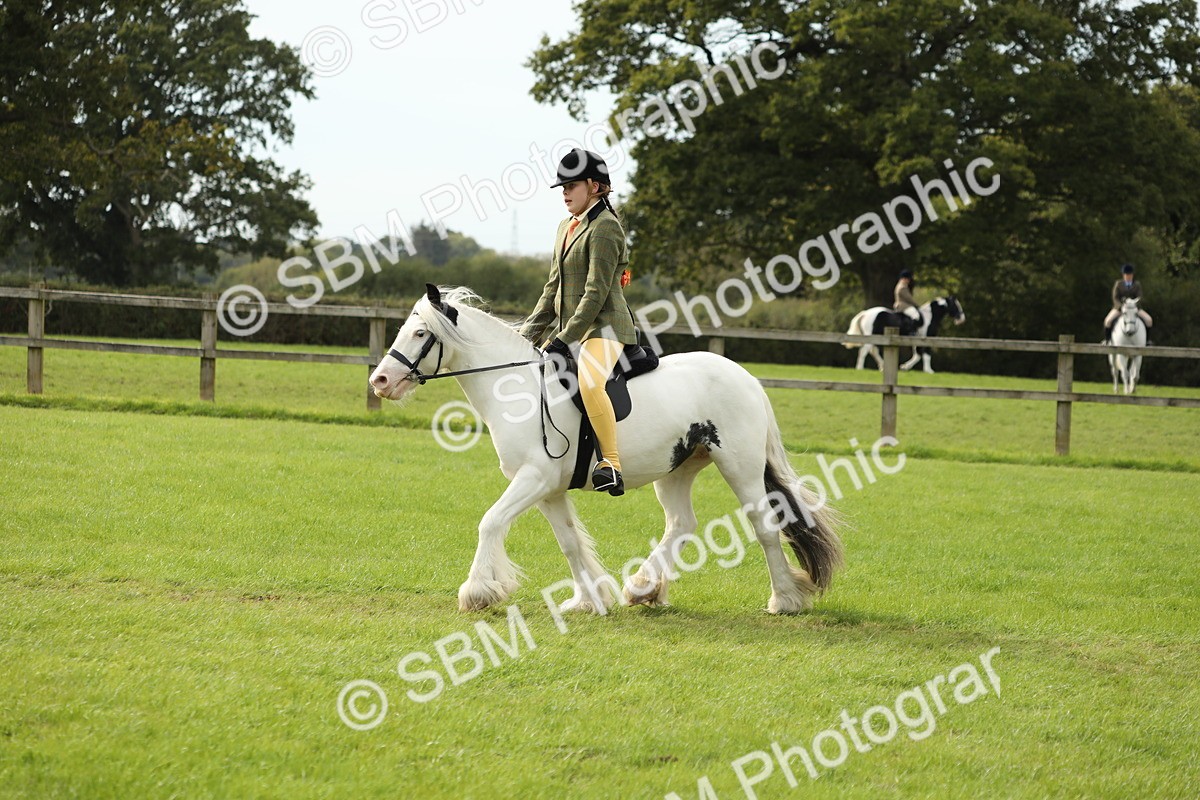 SBM_71511 - S41 - Ridden Equitation (Best Rider)