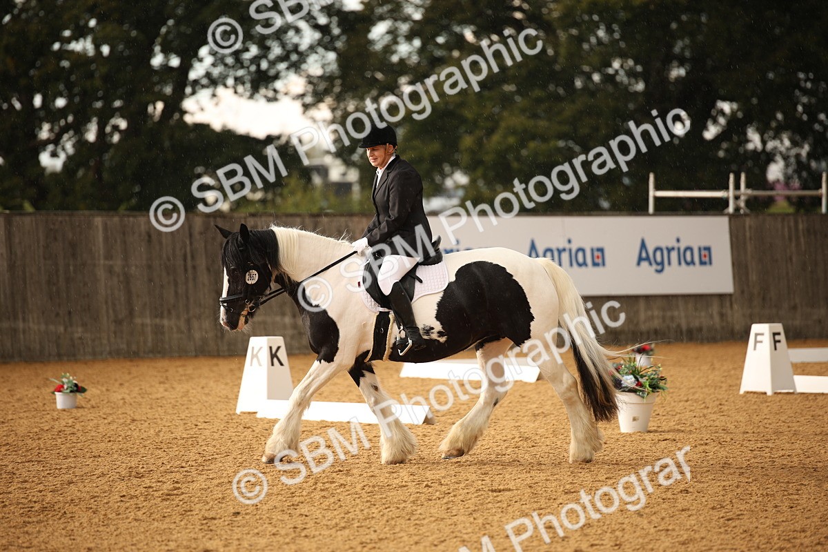 SBM_12389_D3 - Small Tour Championship - Intro A - Theresa Huttom