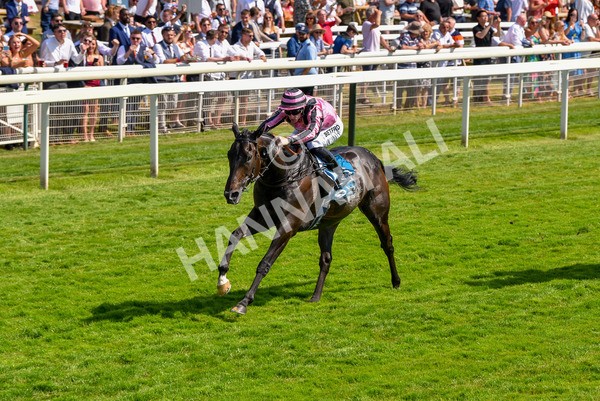 160623-Race 4-Chichester-6336 - Race 4 3.35pm Seat Unique Ganton Stakes