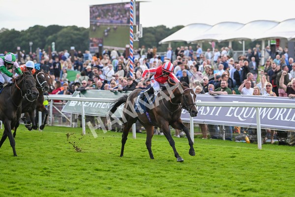 230824-Race 4-Bradsell-9413 - Race 4 3.35pm Coolmore Wootton Bassett Nunthorpe Stakes