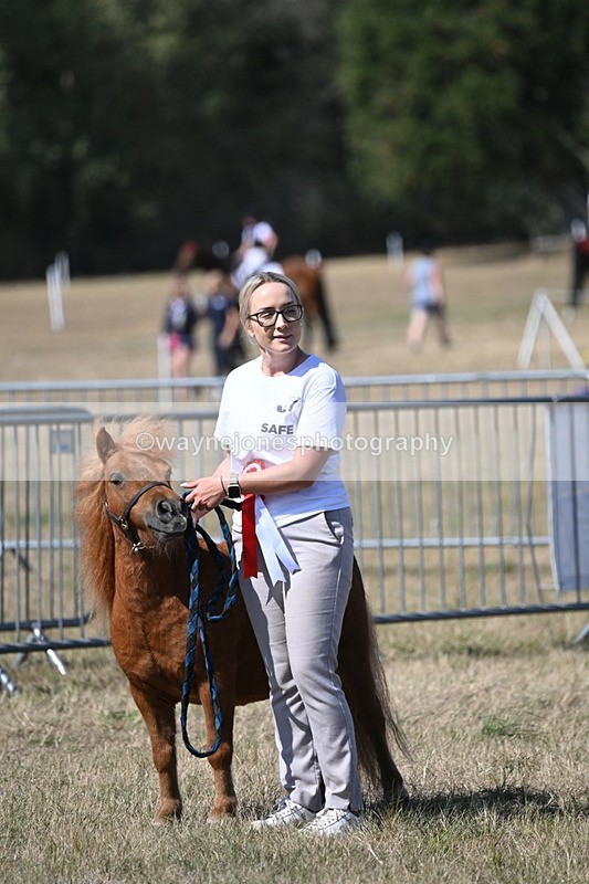 WJ6_9239 - Championship Classes 33-38