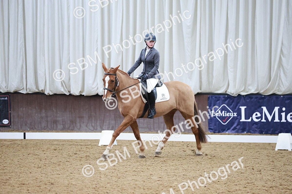SBM_004642 - Ring 3 - International -  Working Hunter Classes 23-2-25