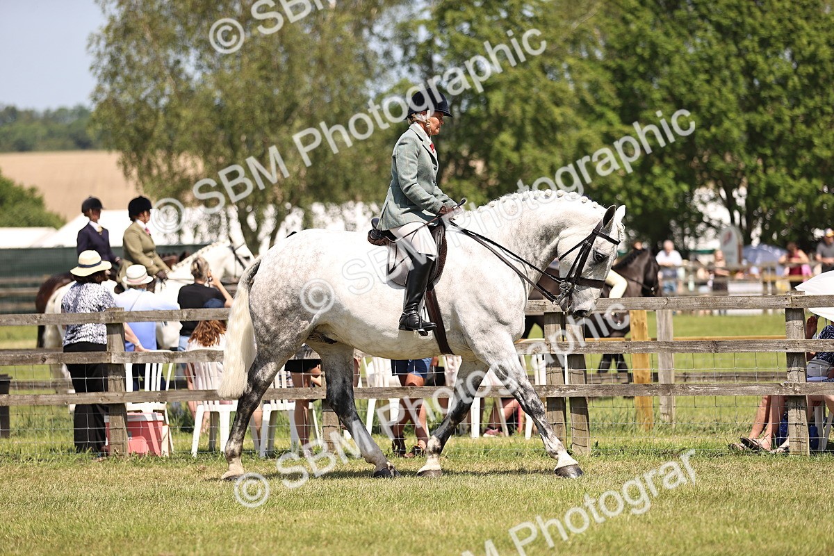 SBM_16090 - Class 79-80 - LIHS BSHA Rising Star Ridden Hunter