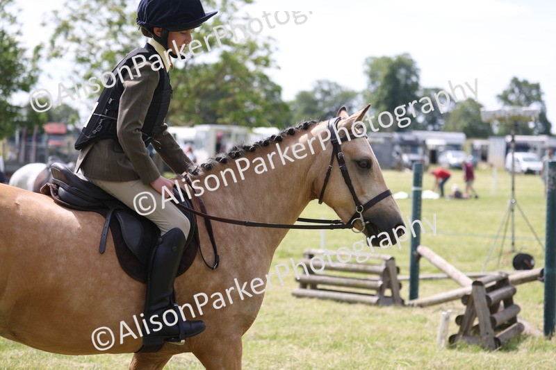 20260614-1806 - Class 21 - Novice Working Hunter Pony
