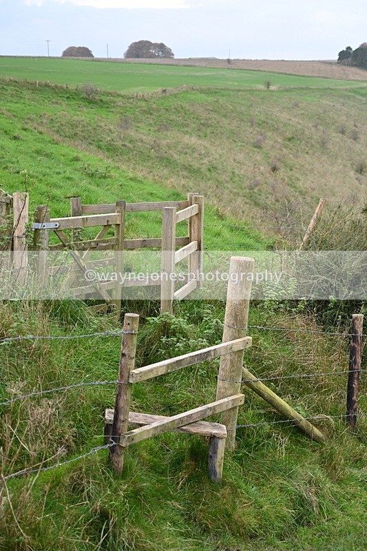 WJ7_9709 - Camera 1 & Last fence