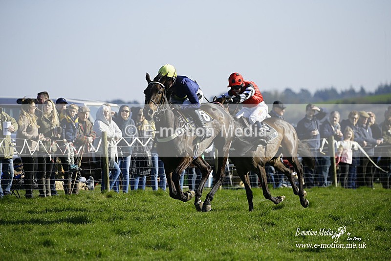 PtP 190322 737 - Wilton Hunt PtP Milborne St Andrew 19/03/22