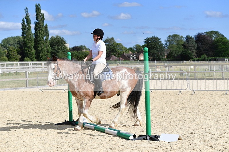 WJ5_5541 - Poles on the Floor