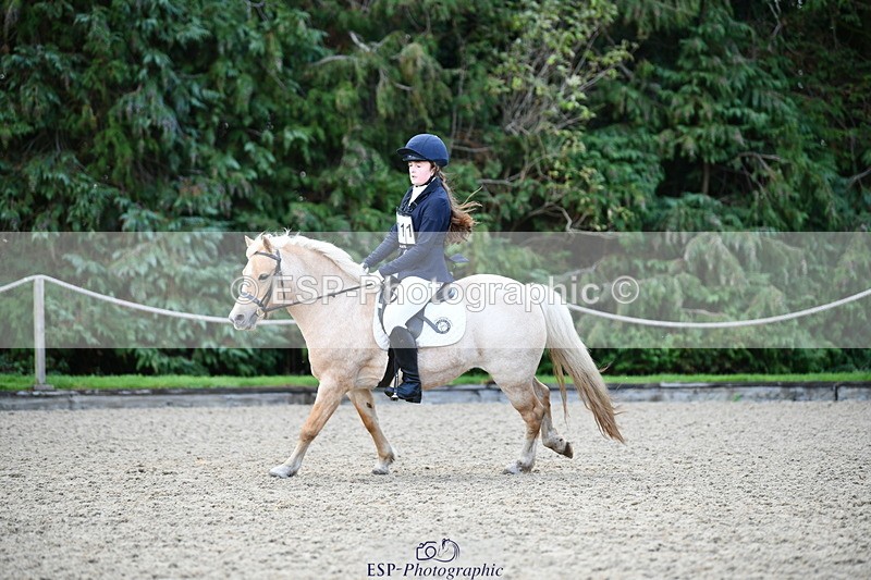 251004A-101222-00392 - Classes 1-2-3 40cm