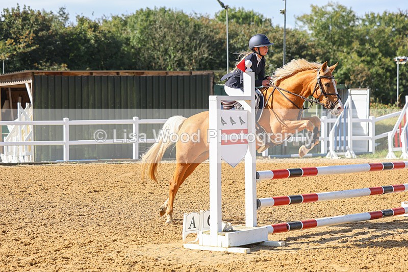 3E7A8329 - Class 4: Pony British Novice/80cm Open