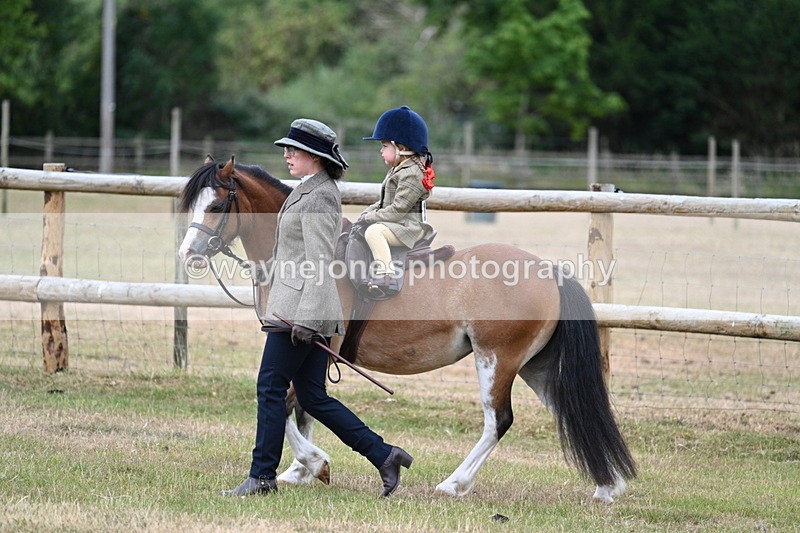 WJ7_9552 - Class 1 Lead Rein Pony