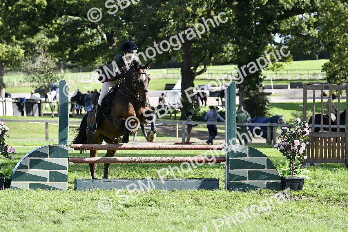 SBM_50066 - S34 - Novice & Newcomers Working Hunter