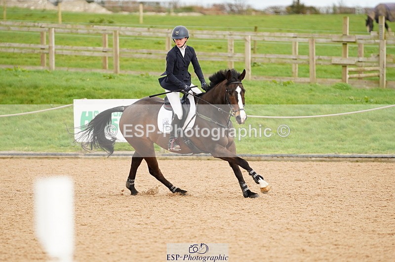 240317A-154618-07805 - Cls 29 Snr Foxhunter