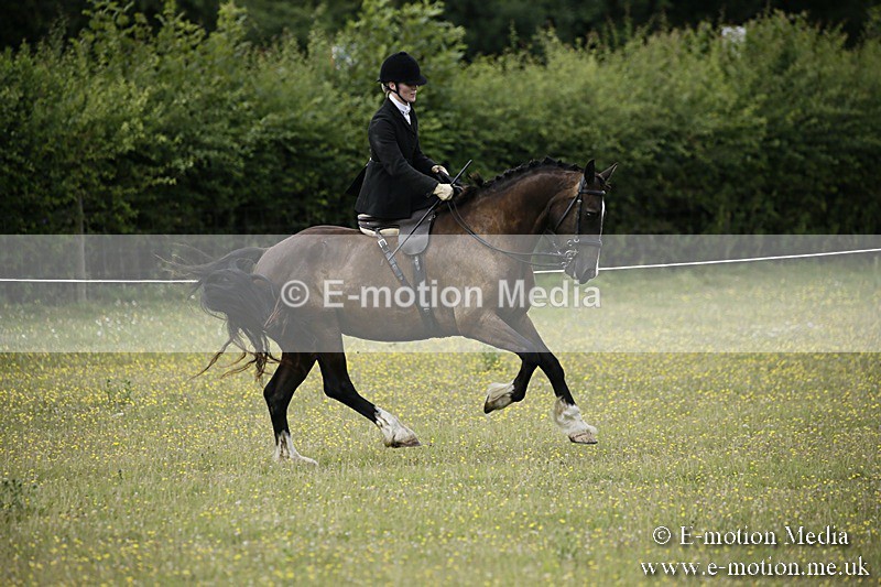BVR160717-1636 - Side Saddle Classes 16/07/17