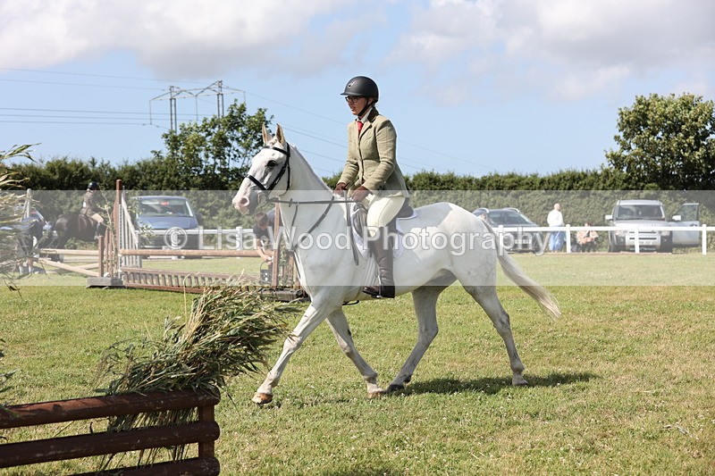 JPP_2308 - Class 19: Working Hunter 60cm