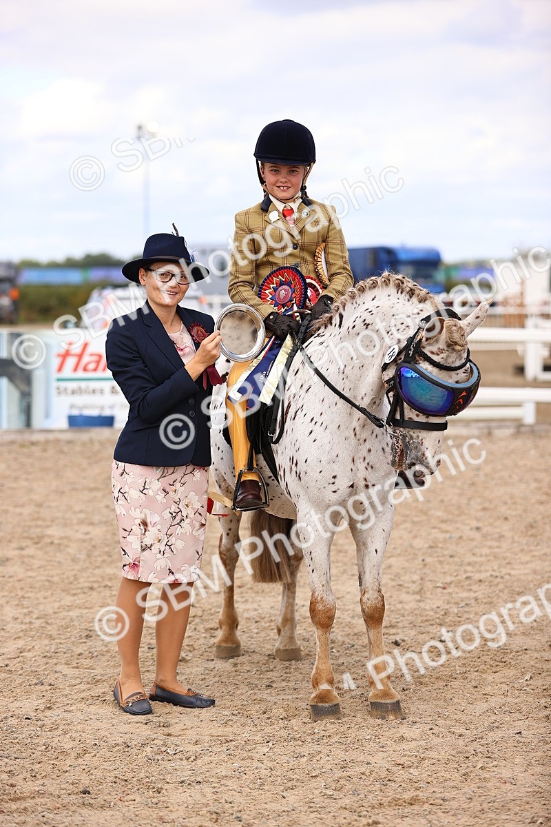 SBM_16175 - Class 420 - Horse-Pony Judge would most like to take home (IH or Ridden) Jnr