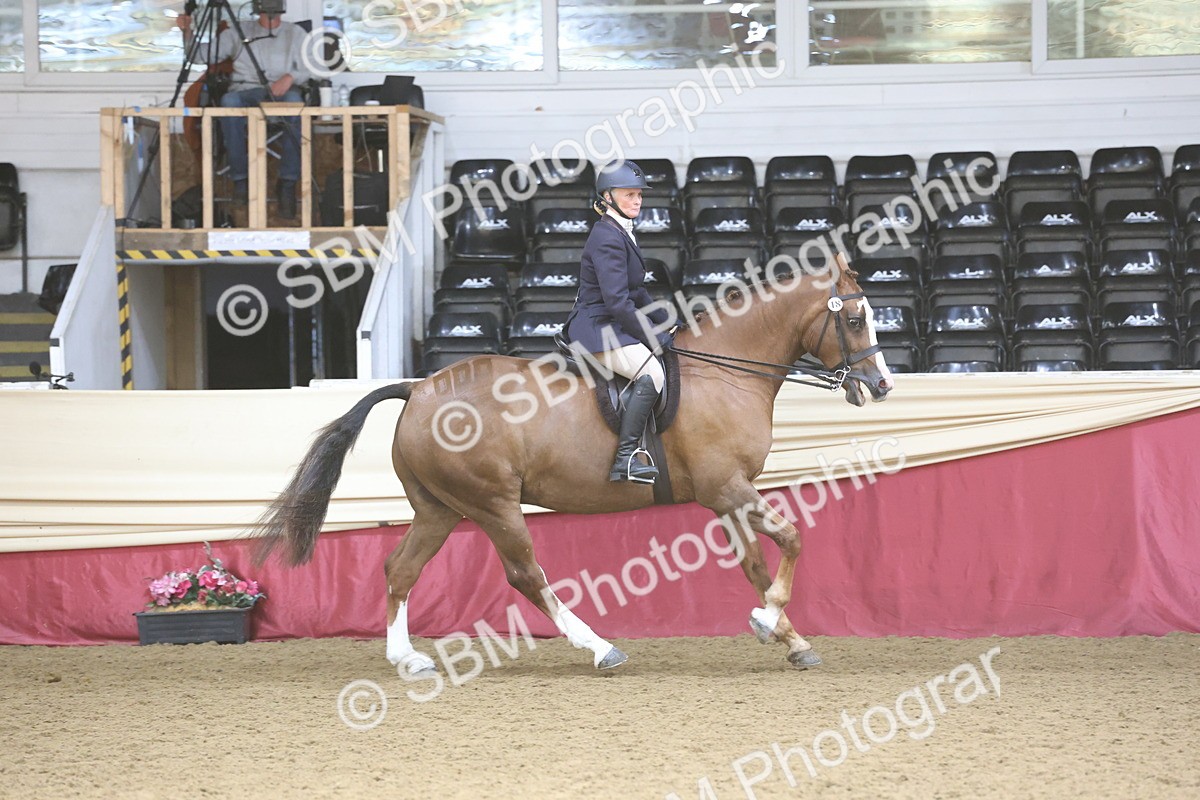 SBM_23795 - class 906 - Supreme Final - Ridden Pre Vet
