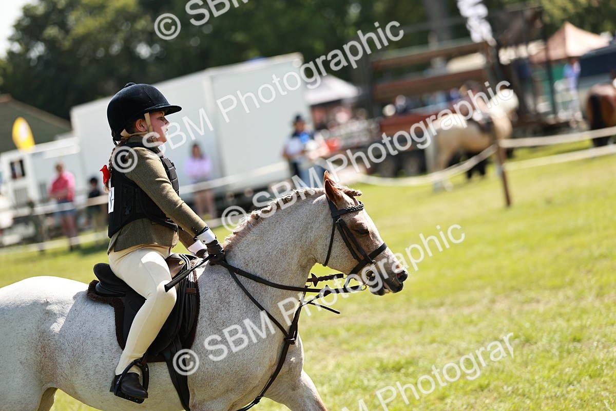 SBM_13621 - Class 108-109 - BSPS LIHS Open Gradle & Nursery Stakes