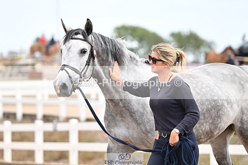 250716-155545-02295 - Trot Up 3.30 to 4.30