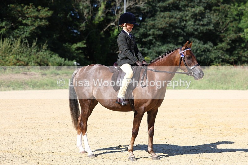 3E7A7919 - Class 14: Tack and Turnout