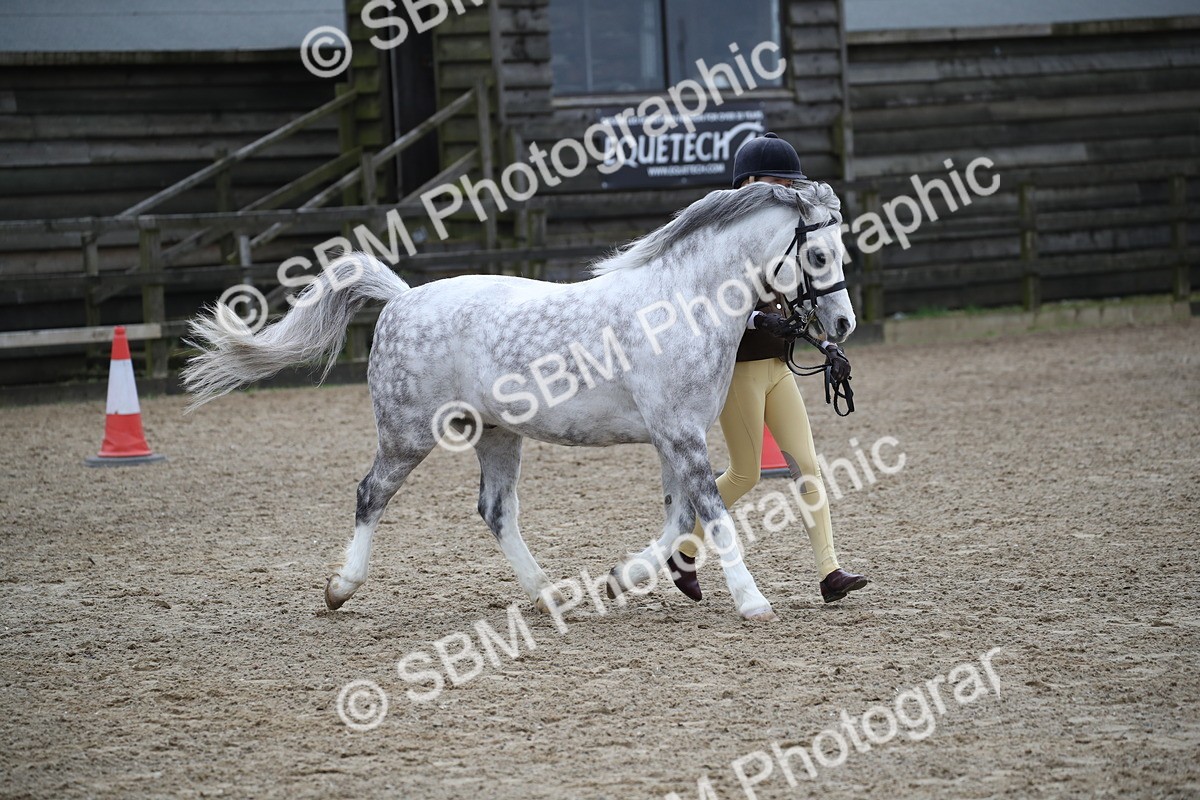 SBM_005964 - Class 10-13 - RIHS Small Large Breeds