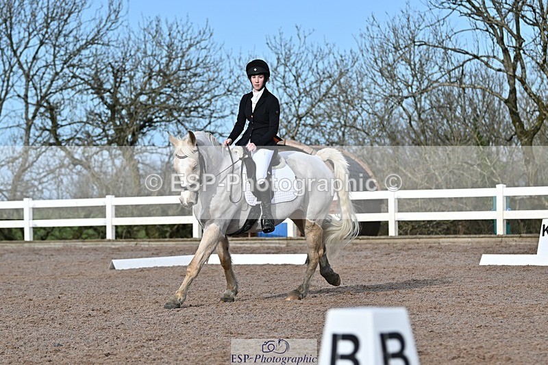 250125-111444-00299 - Dressage - CT Class 5 BE95 (90cm)