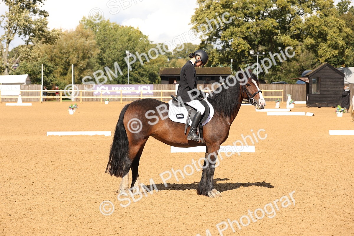 SBM_44206 - D6 - Small Tour Championship Intro 4
