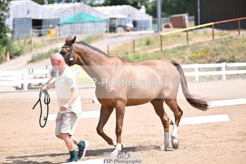 250716-124002-00104 - Trot Up 12.30 to 1.30