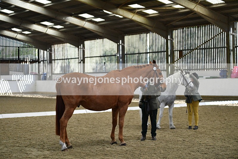 WJ5_4016 - Class 2 Best Condition In hand