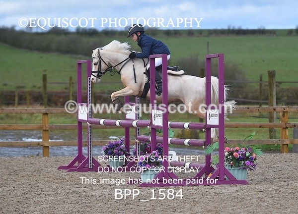 BPP_1584 - CLASS 8 Springboard