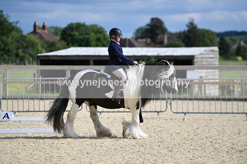 WJ5_7742 - Time 16:40 to 16:55