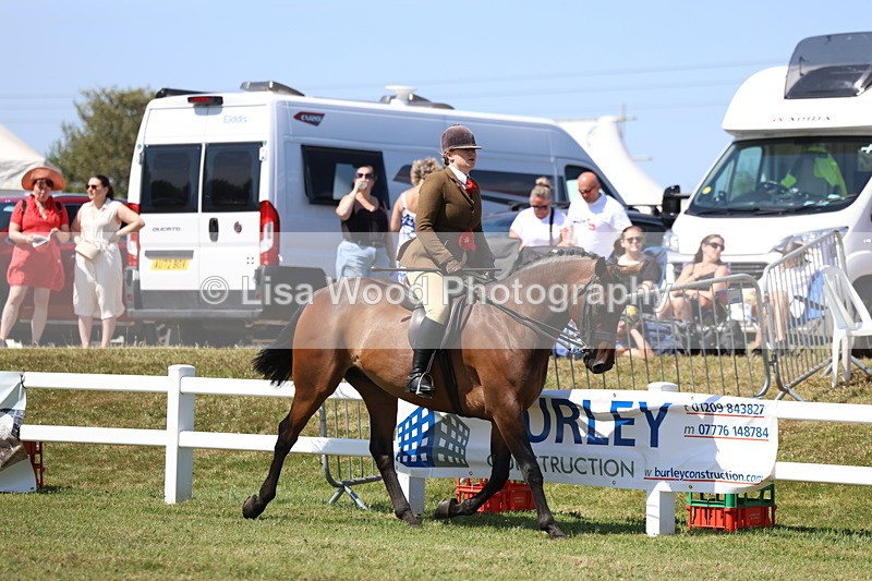 3E7A7499 - Rising Star Ridden Championship