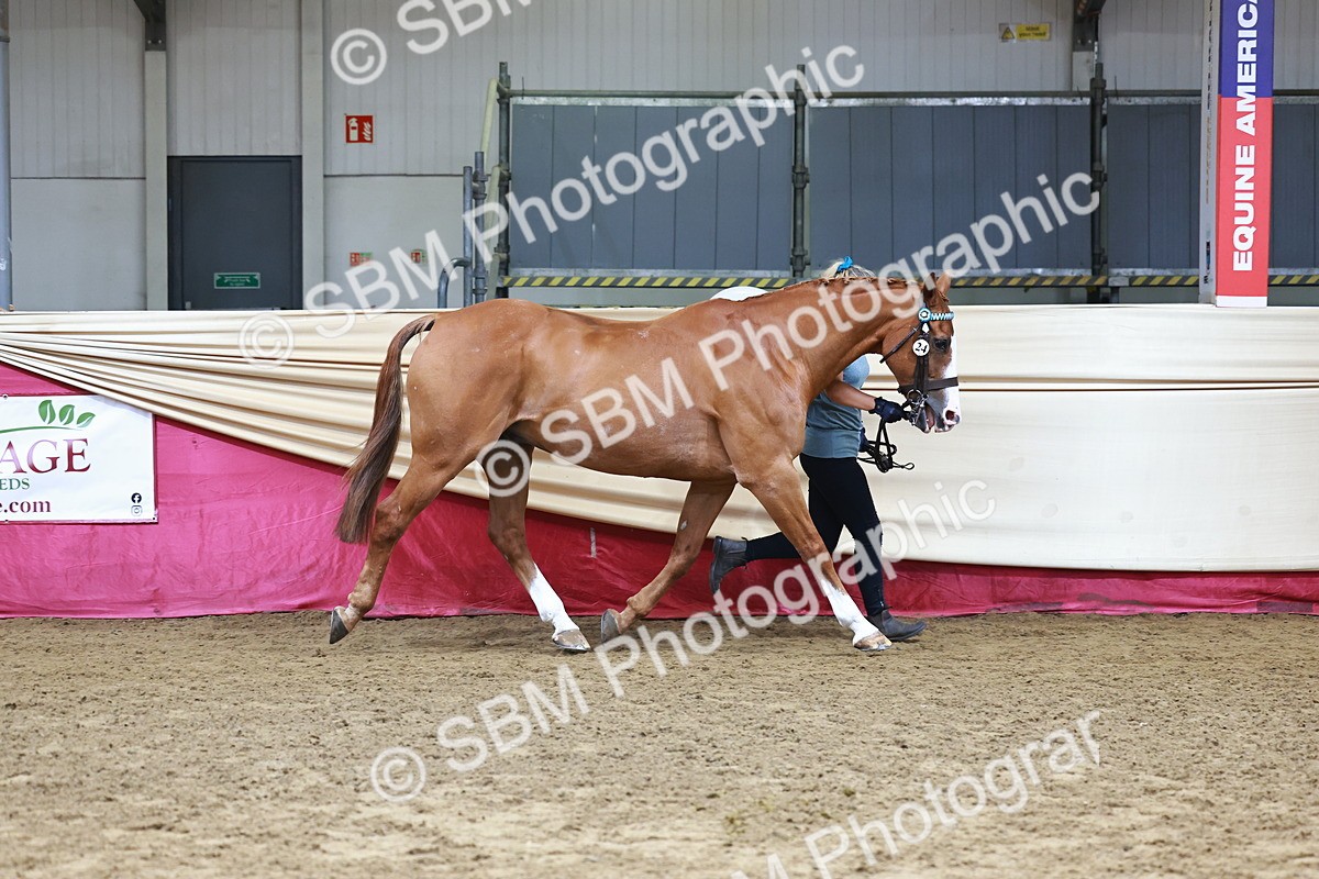 SBM_22255 - Class 902 - Supreme Final - IH Diamond