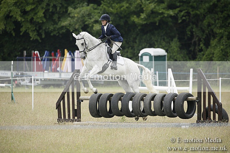 B230619-0843 - Bourne Valley Riding Club Summer Show 23/06/19