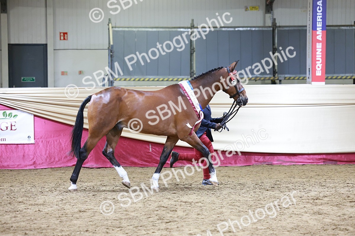 SBM_20155 - Class C - Novalty Champ