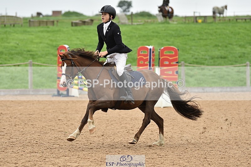 230902A-114018-00800 - Cls 2B Pony Small 80cm