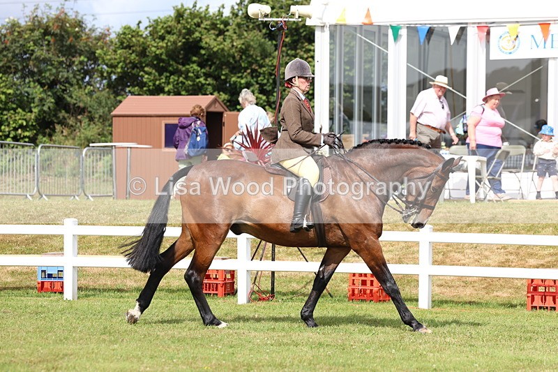 3E7A9309 - Class 4: Rising Star M/H Hunter