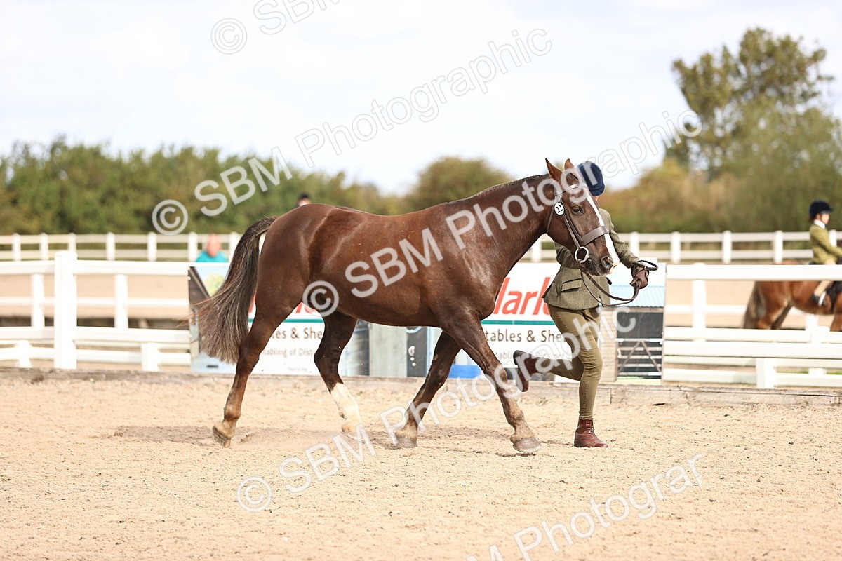 SBM_10367 - Class 405 - IH Show Cob