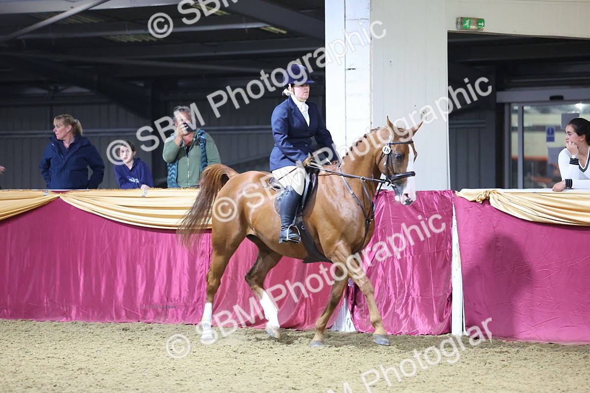 0B8A4657 - Class R Working Veteran Champ