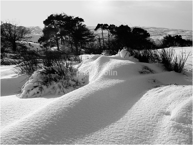  - Landscapes