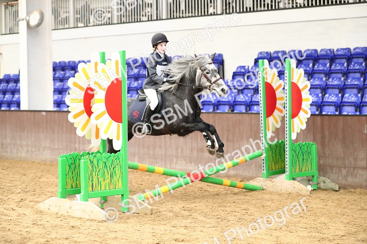 SBM_001099 - Class 3 - 50cm