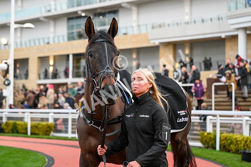 141224-Race 7-Take No Chances-1008 - Race 7