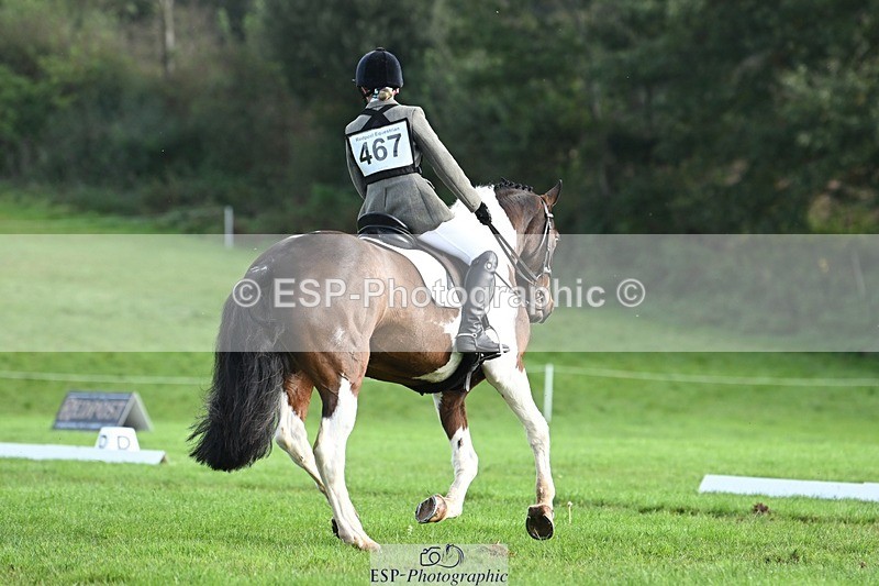 231020-101349-07289 - 467-WELLSHEAD.SQUIGGLE-Emily.Illing-DR