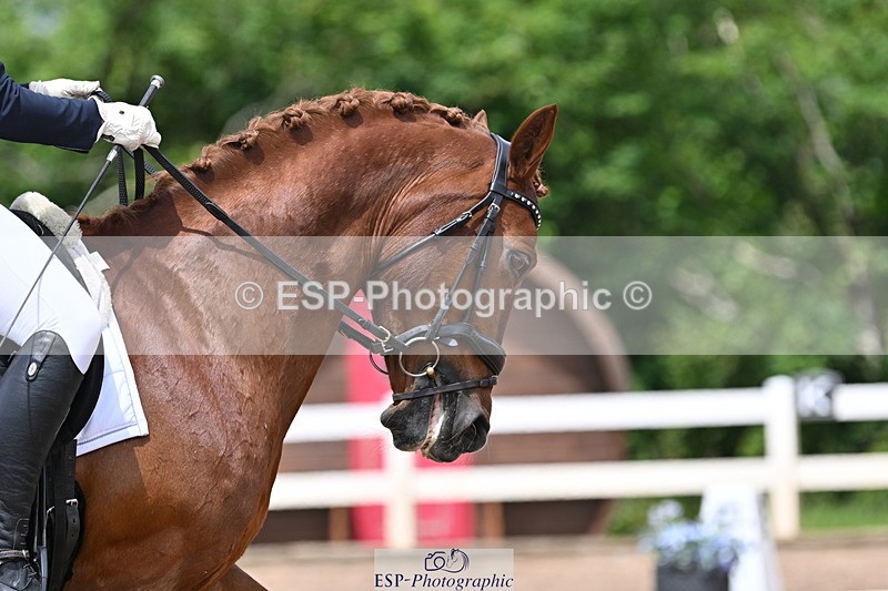 240622A-132656-10805 - Cls 37 BD Music Adv Medium