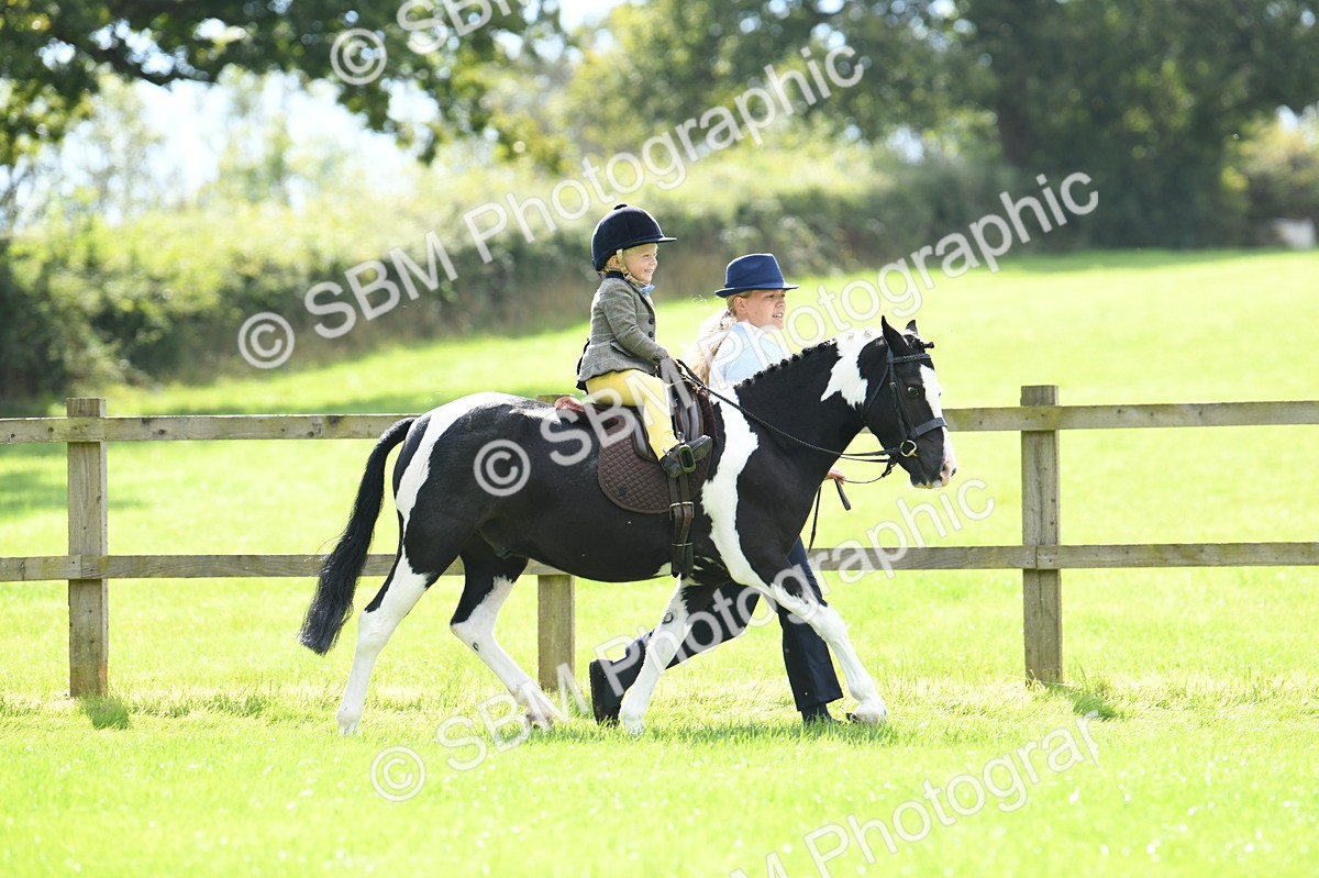 SBM_41153 - S19 - Lead Rein Show & Show Hunter Pony