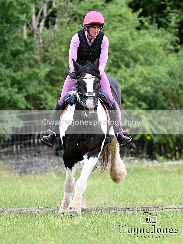 WJ7_8476 - Kellie Jade Ellie XC training with Kelly Harris 28-06-26